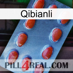 Qibianli 06
